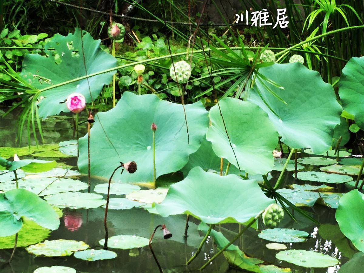 Chuan Ya Ju Homestay Qishan Экстерьер фото